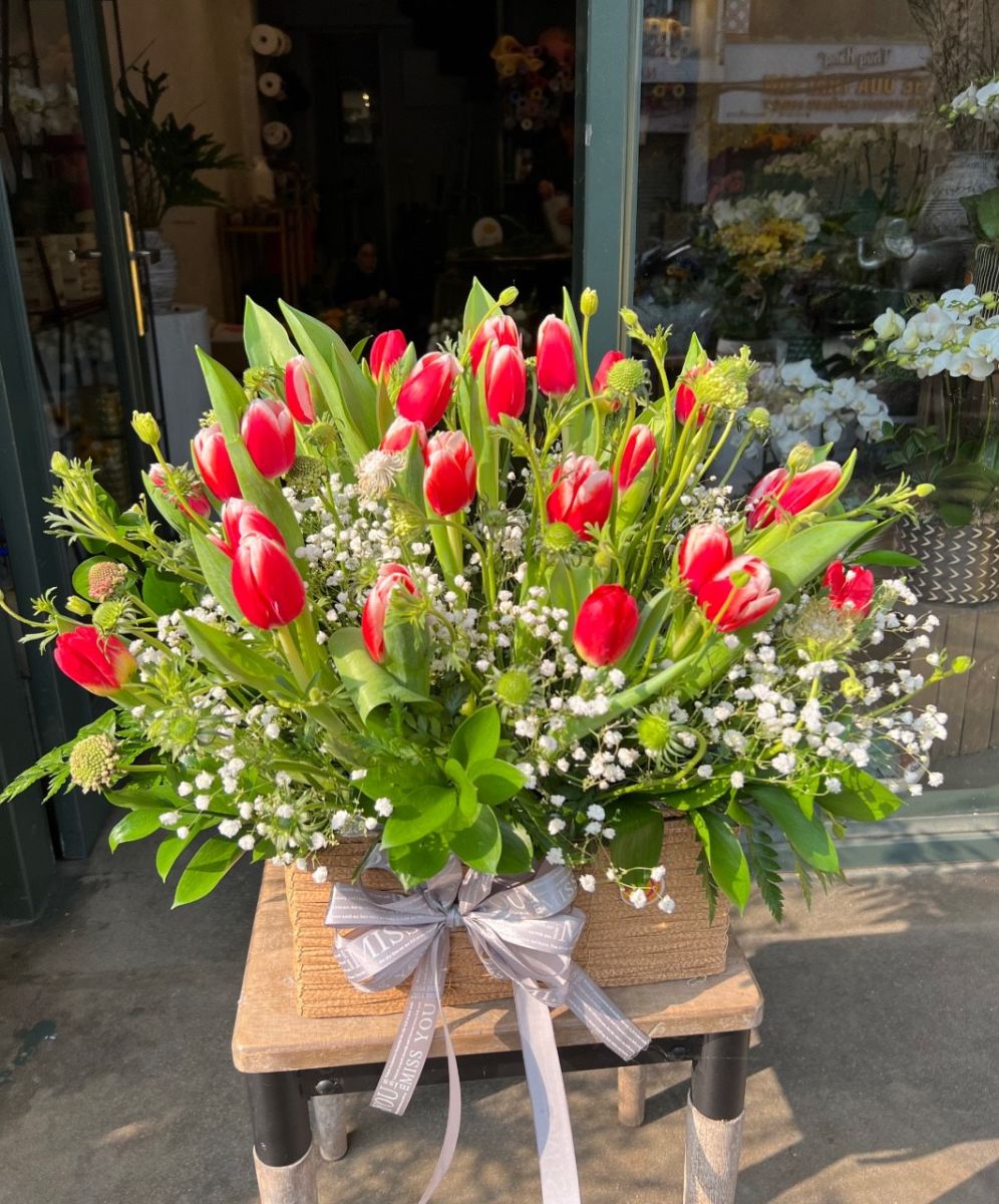mẫu hoa tulip tặng 8/3