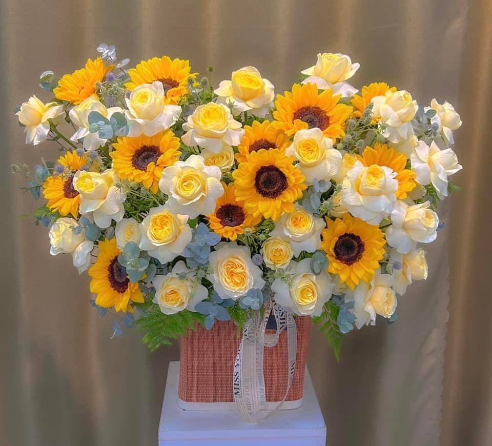 Mẫu hoa hướng dương tặng lễ