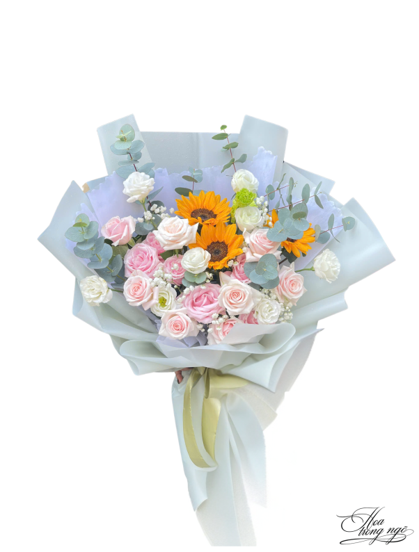 Hướng Dương Tỏa Nắng