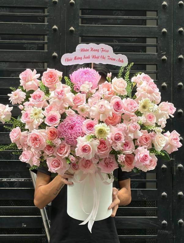 Nắng Về Sân Cũ