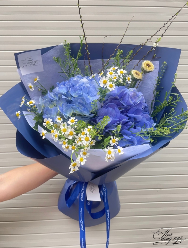 Niềm Vui Khai Hoa