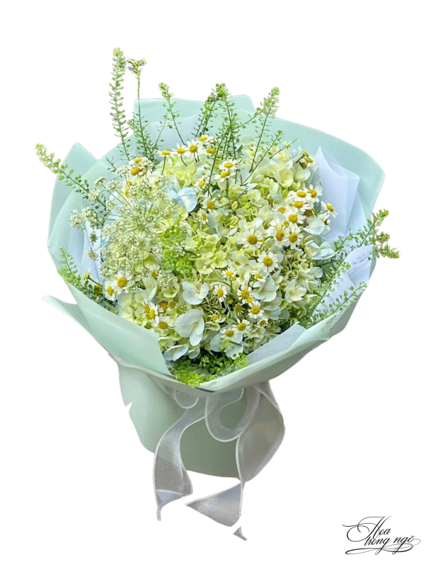 Dịu Êm Ngày Mới
