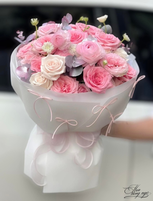 Ngày Xinh Đầy Nắng