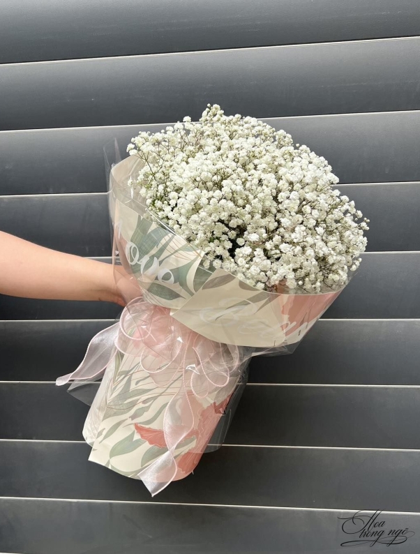 Nắng Vàng Gọi Hoa
