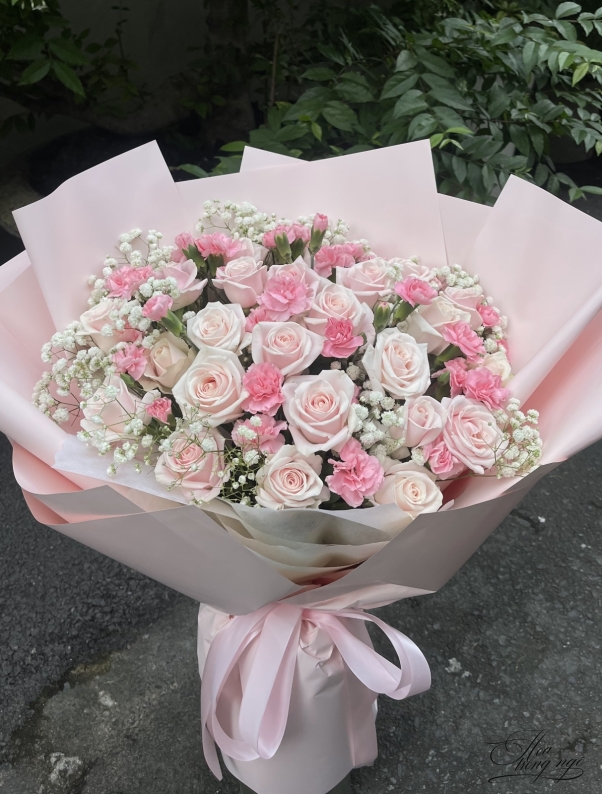 nắng sáng thành công 
