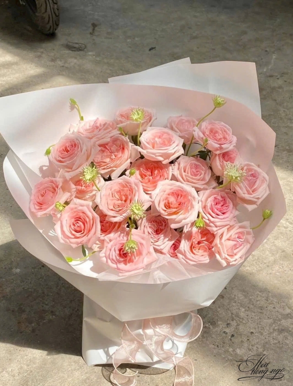 mừng ngày tỏa sáng 