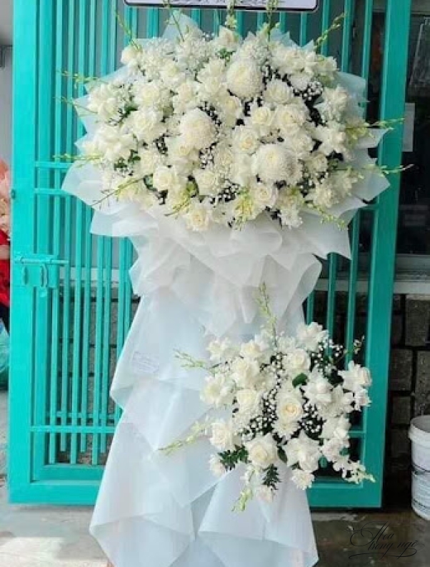 Bạch Tâm 