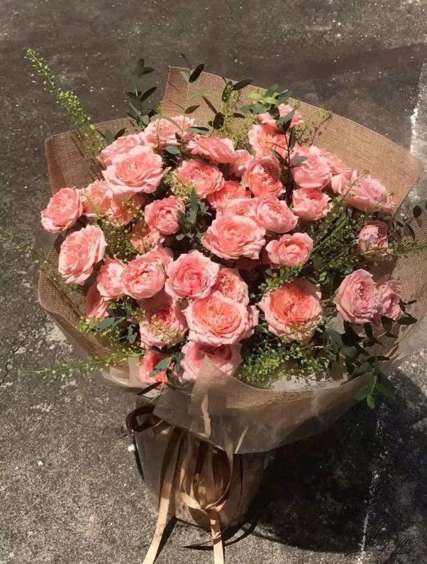 Mùa Thương Đầy Nắng