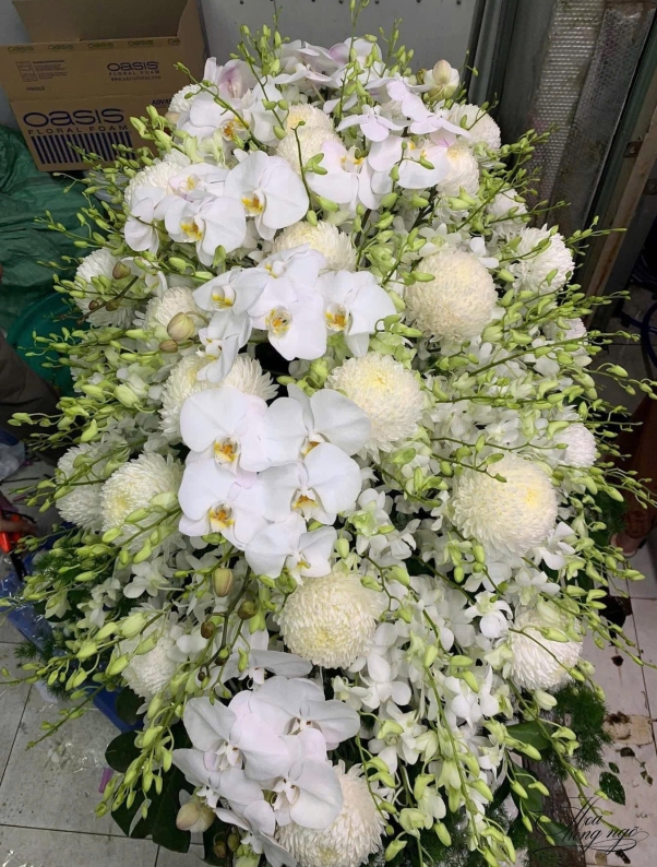 Ánh Đạo Bình An