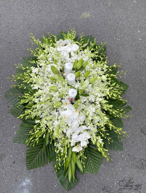 Ánh Sáng Tâm Linh