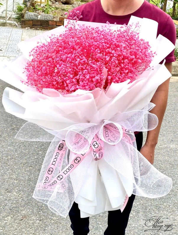 Sắc Hoa Ngày Mới