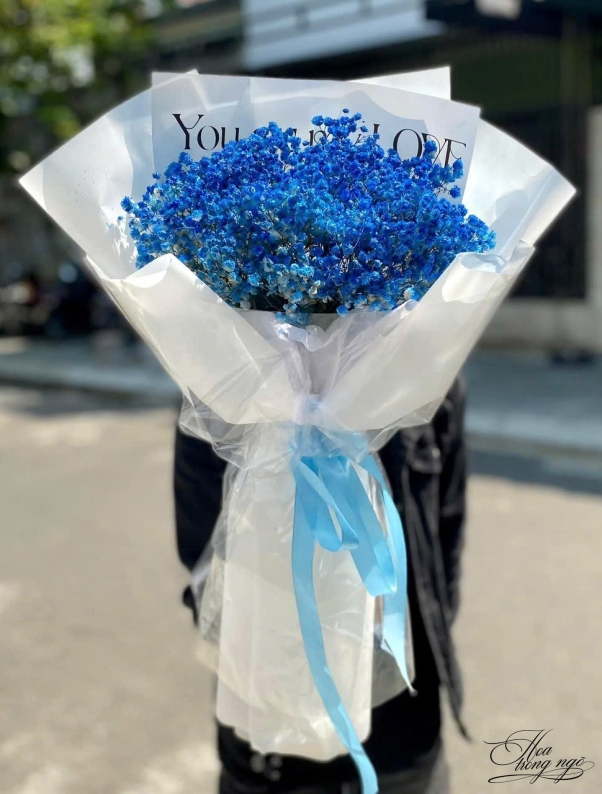 Niềm Vui Theo Nắng