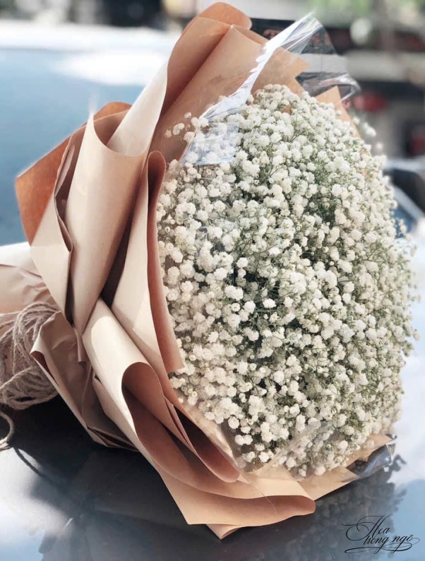 Ngày Xanh Rộn Ràng