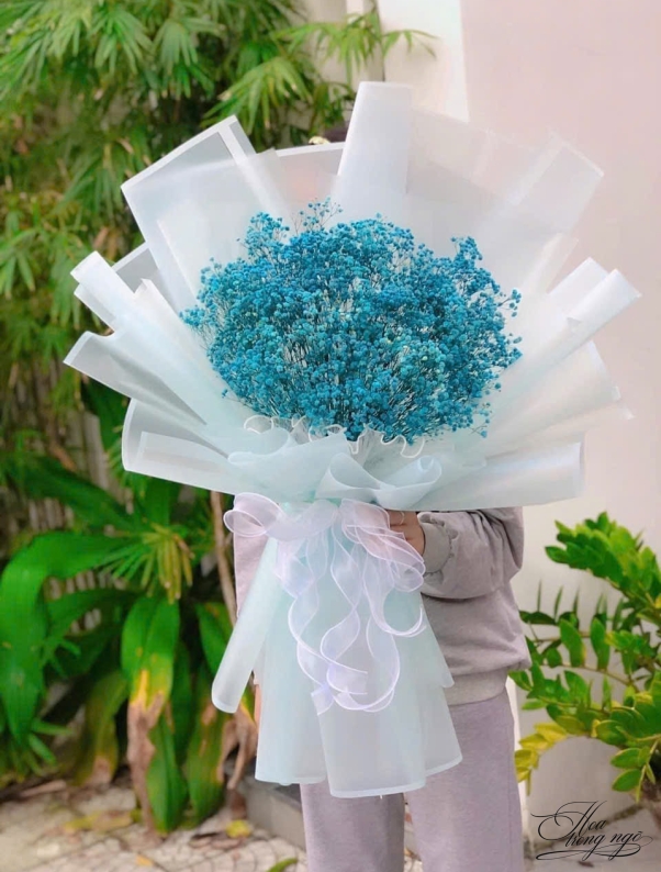 Mùa Hoa Gặp Gỡ