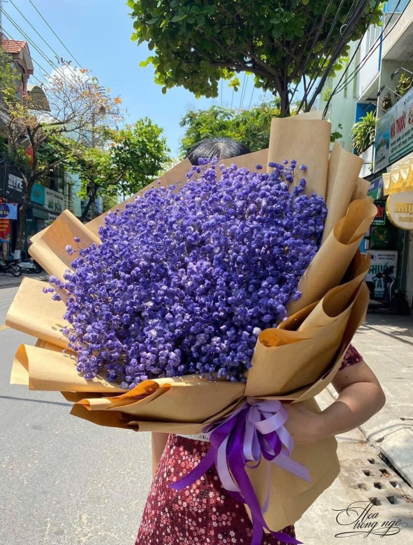 Ngày Vui Nở Rộ