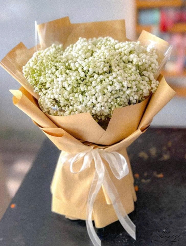 Hoa Nở Đón Vui