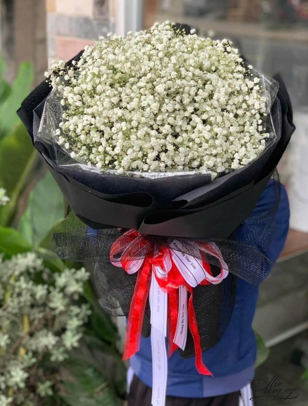 Niềm Vui Vừa Đến