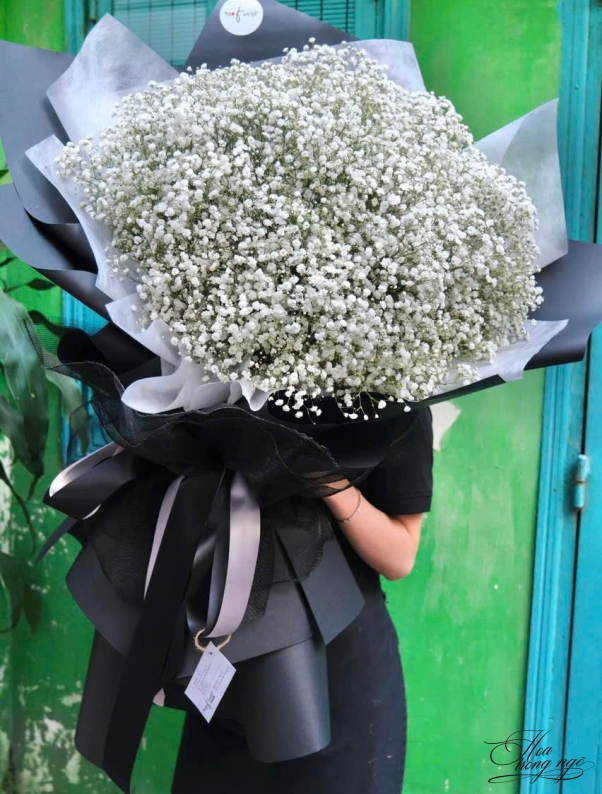 Hoa Nở Cùng Nắng