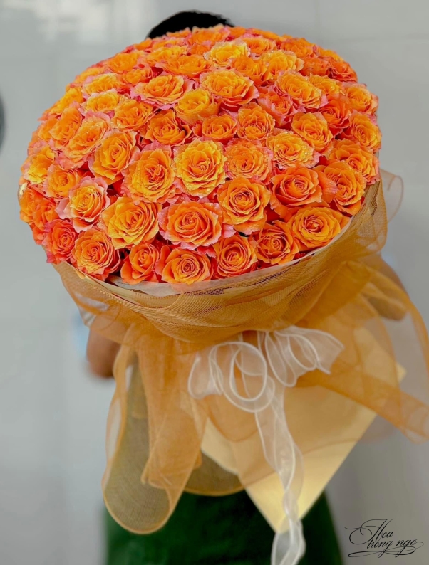 Vệt Sáng Ngày Vui
