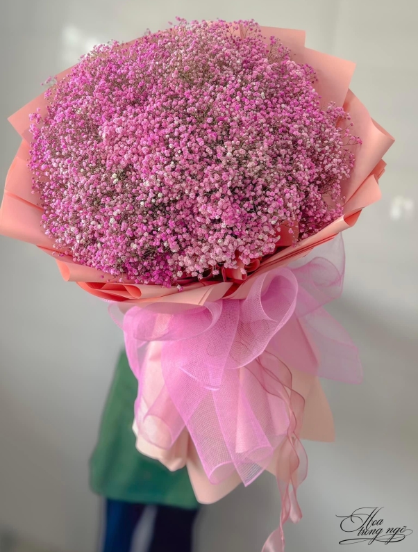 Khúc Ca Rạng Rỡ