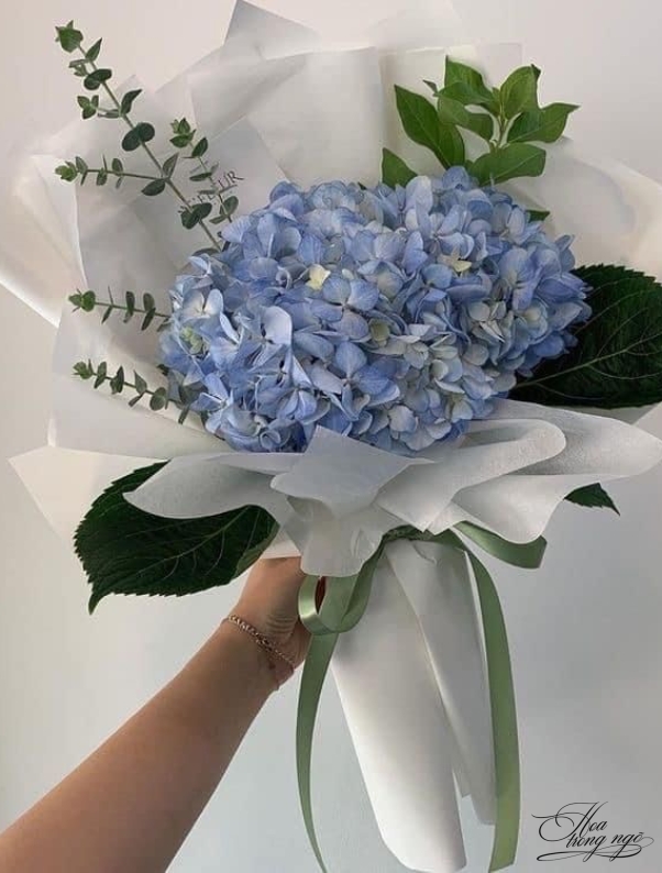 Nắng Đẹp Gọi May
