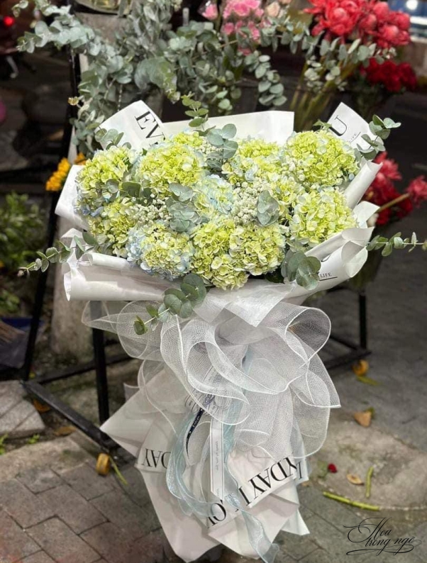 Sắc Hoa Mừng Khởi Đầu