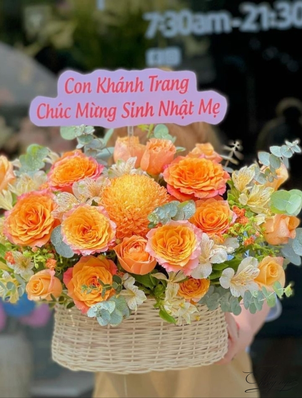 sắc nắng an vui 