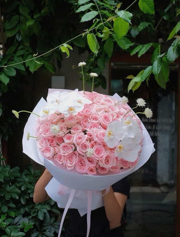 Mùa Đẹp Đón May