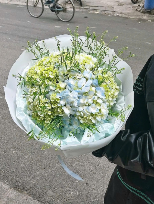 Hương Nắng Mừng Thành