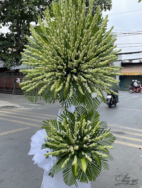 Thành Tâm
