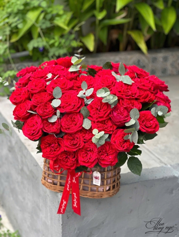 hoa nở đón xuân 