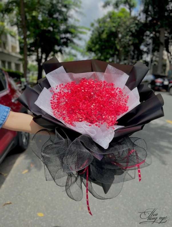 Mộng Mơ Bi