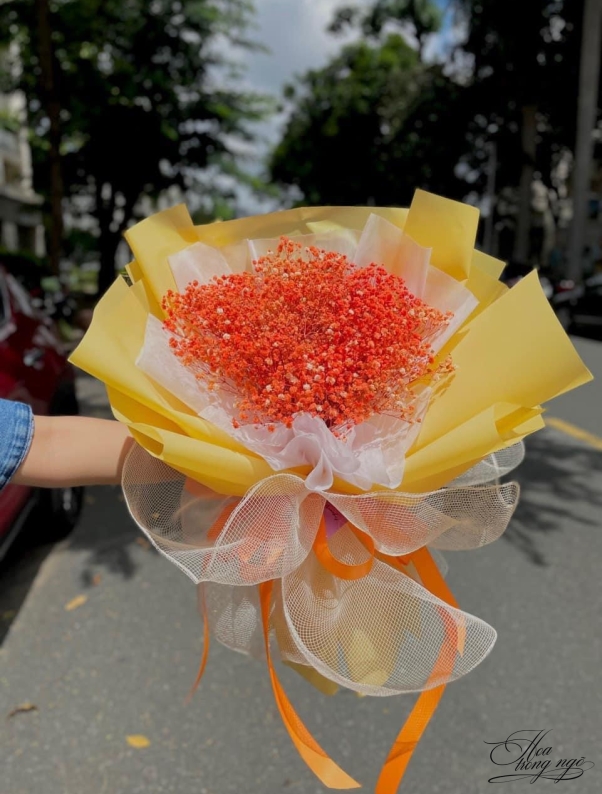 Cam Lộ