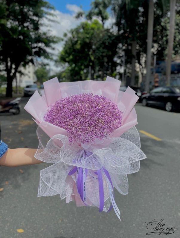Khoai Môn