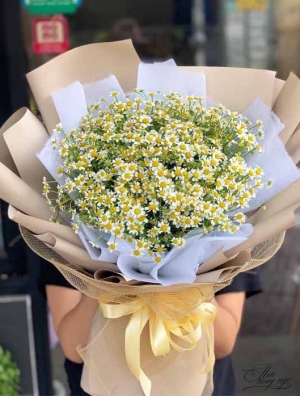 Vững Chắc