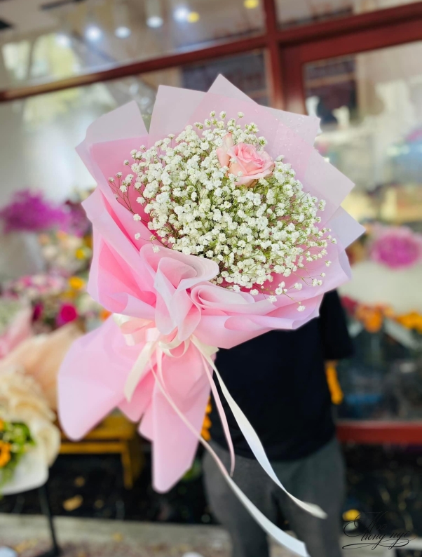 Bạch Hoa