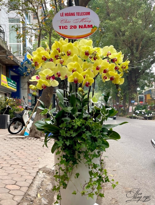 Vạn Lộc