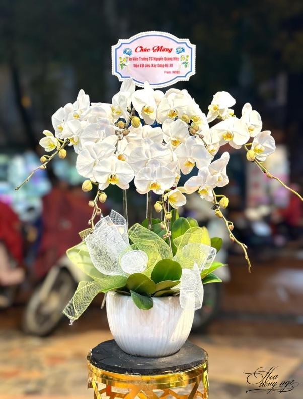Mỹ Nhân