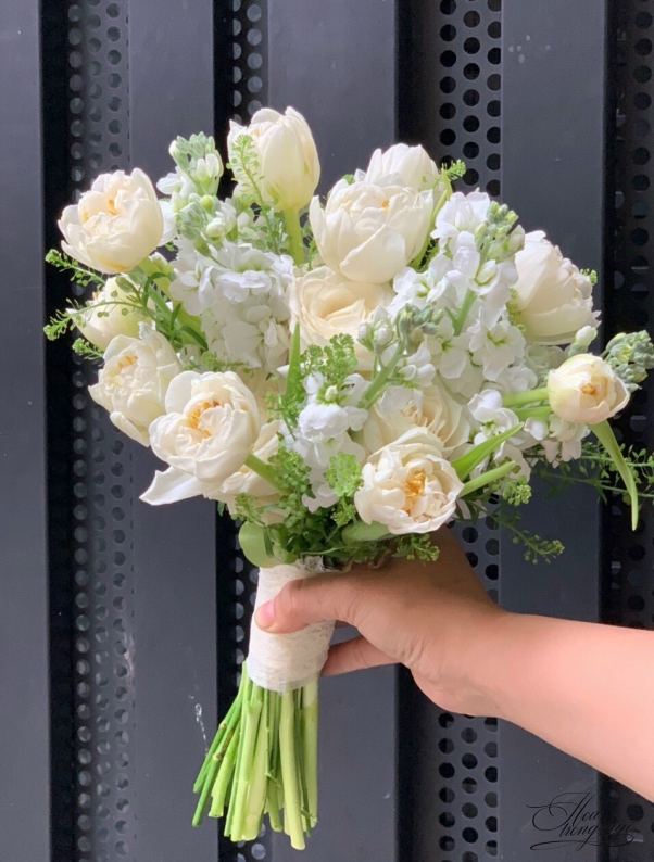 Mộng Mơ Tuyệt Đẹp