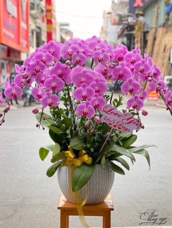 Diễm My