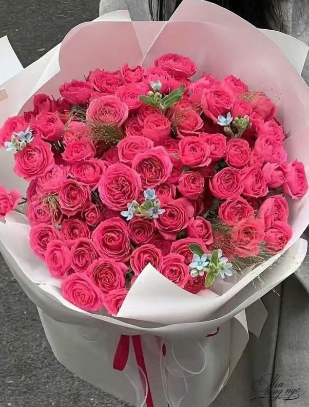 Hoa dịp lễ Valentine Q10