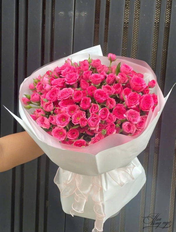 Mây Ghé Hiên Nhà