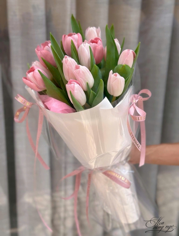 Blushing Tulips